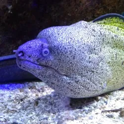 Aquário de Ubatuba - Ubatuba