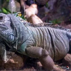 Aquário de Ubatuba - Ubatuba