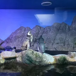 Aquário de Ubatuba - Ubatuba