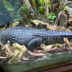 Aquário de Ubatuba - Ubatuba