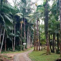 Cachoeira da Renata - Ubatuba