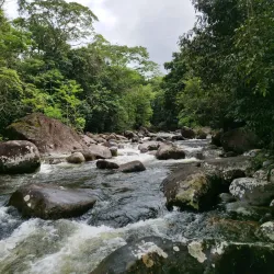 Cachoeira da Renata - Ubatuba