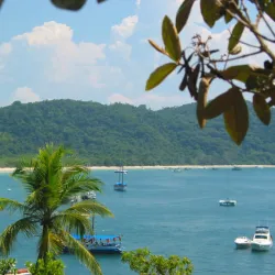 Ilha Anchieta State Park - Ubatuba