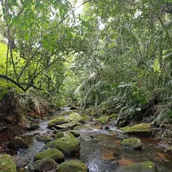 Praia do Félix - Ubatuba
