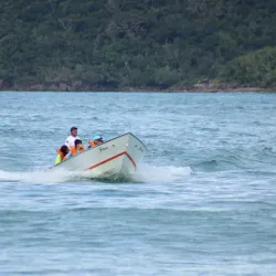 Praia do Félix - Ubatuba