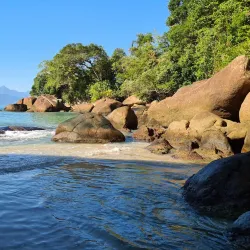 Praia do Félix - Ubatuba