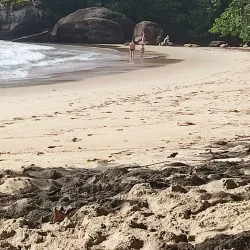 Praia do Félix - Ubatuba