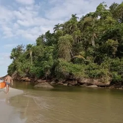 Praia do Itamambuca - Ubatuba