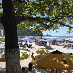 Praia Grande - Ubatuba