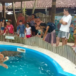 Projeto Tamar Ubatuba - Ubatuba