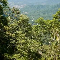 Serra do Mar State Park - Ubatuba