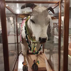 Museu do Zebu - Uberaba