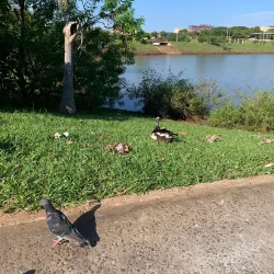 Parque das Acácias - Uberaba