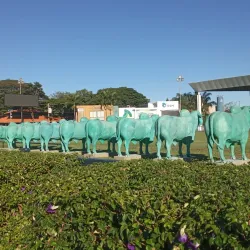 Parque Fernando Costa - Uberaba