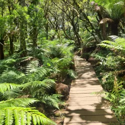 Cascata do Avencal - Urubici