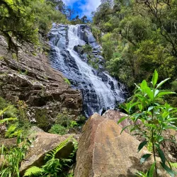 Cascata do Avencal - Urubici