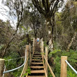 Cascata Véu de Noiva - Urubici