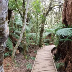 Cascata Véu de Noiva - Urubici