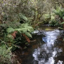 Cascata Véu de Noiva - Urubici