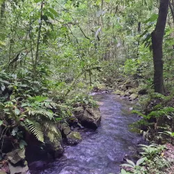 Caverna de Santana - Urubici