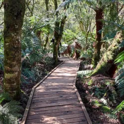 Parque Nacional de São Joaquim - Urubici