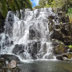 Parque Nacional de São Joaquim - Urubici