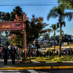 Festa Nacional do Pinhão (National Pine Nut Festival) - Vacaria