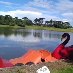 Parque das Araucárias - Vacaria