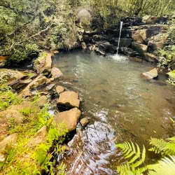 Parque das Araucárias - Vacaria