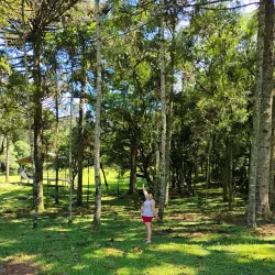 Parque das Araucárias - Vacaria