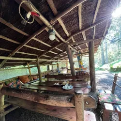 Parque Natural Municipal da Cachoeira do Salto - Vacaria