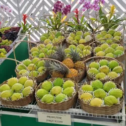 Festa do Figo (Fig Festival) - Valinhos