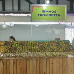 Festa do Figo (Fig Festival) - Valinhos