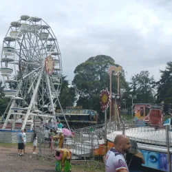 Festa do Figo (Fig Festival) - Valinhos