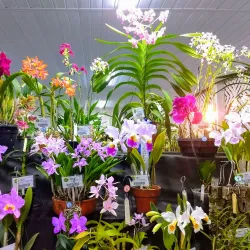 Parque Municipal de Valinhos - Valinhos