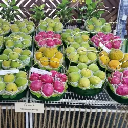 Parque Municipal Monsenhor Bruno Nardini - Valinhos