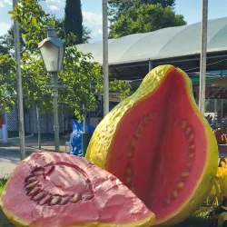 Parque Municipal Monsenhor Bruno Nardini - Valinhos