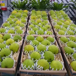 Parque Municipal Monsenhor Bruno Nardini - Valinhos