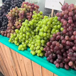 Parque Municipal Monsenhor Bruno Nardini - Valinhos