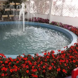 Parque Municipal Monsenhor Bruno Nardini - Valinhos