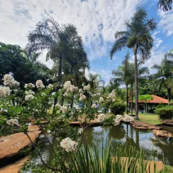 Parque do Sabiá - Varginha