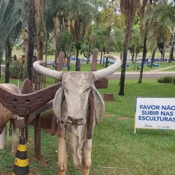 Parque do Sabiá - Varginha