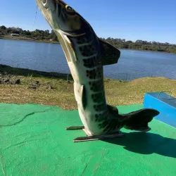 Parque do Sabiá - Varginha