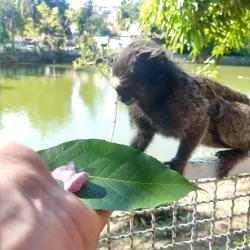 Parque Municipal do Trabalhador - Varginha