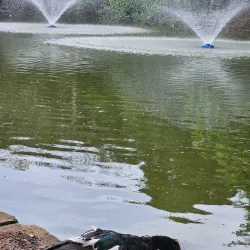 Parque Municipal do Trabalhador - Varginha