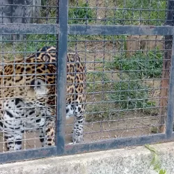 Parque Municipal do Trabalhador - Varginha