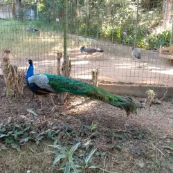 Parque Municipal do Trabalhador - Varginha