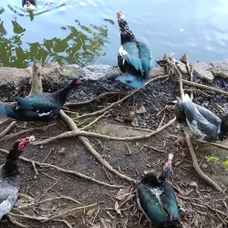 Parque Municipal do Trabalhador - Varginha