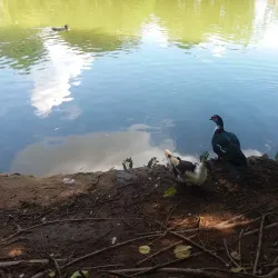 Parque Municipal do Trabalhador - Varginha