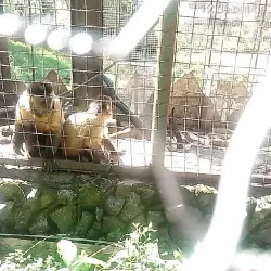 Parque Municipal do Trabalhador - Varginha